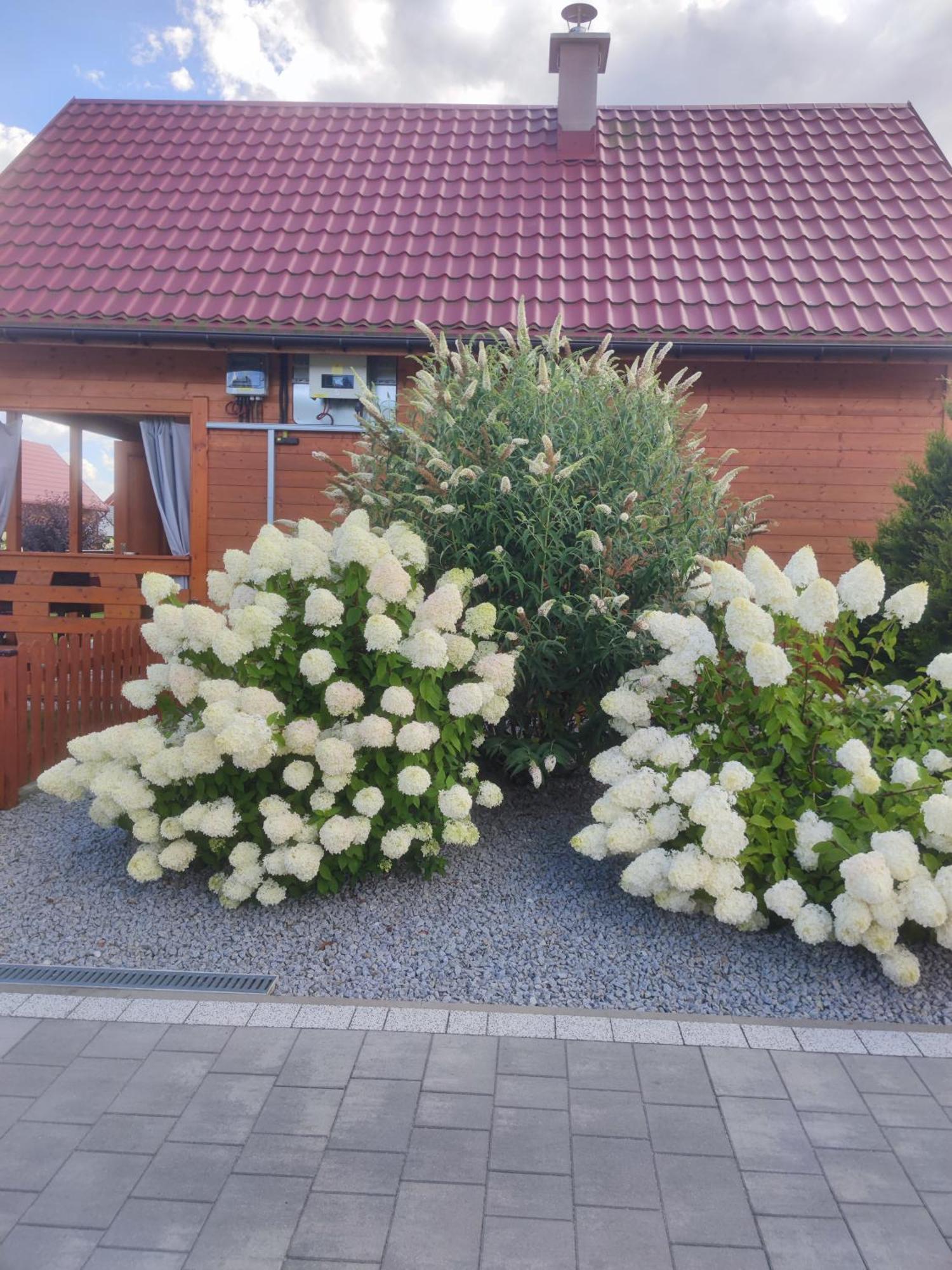 Miodowa Sadyba Domki Caloroczne Kluczbork Ligota Zamecka 외부 사진
